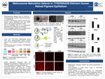 Melanosome Maturation Defects in TYROSINASE Deficient Human Retinal Pigment Epithelium