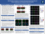 NSD2 Mutation Contributes to Oncogenic Reprogramming through Aberrant Histone Modification and Localization within the Nucleus by Venkata Dasuri; Samuel Sey, PhD; Tian Yuan; and Jianping Li