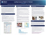 Leading Causes of Death in Vietnam by Lindsey Roth