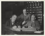 Bradley Algeo, Richard Cox, and Edward France