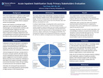 Acute Inpatient Stabilization Study Primary Stakeholders Evaluation