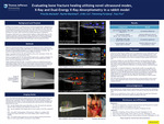 Evaluating Bone Fracture Healing Utilizing Novel Ultrasound Modes, X-Ray and Dual-Energy X-Ray Absorptiometry in a Rabbit Model by Priscilla Machado, Rachel Blackman, Ji-Bin Liu, Flemming Forsberg, and Traci Fox