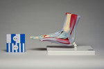 Foot Musculature Model, Separable
